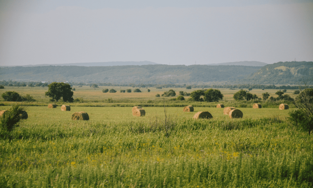 Janvier 2026 – Vous voulez réduire votre impôt sur la vente d’une terre agricole?
